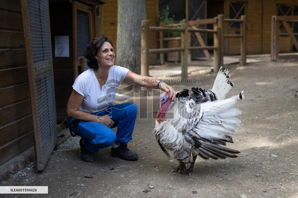 Animals at the Brigitte Bardot foundation shelter - Bazoches-sur-Guyonne
