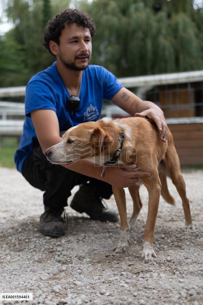 Animals at the Brigitte Bardot foundation shelter - Bazoches-sur-Guyonne