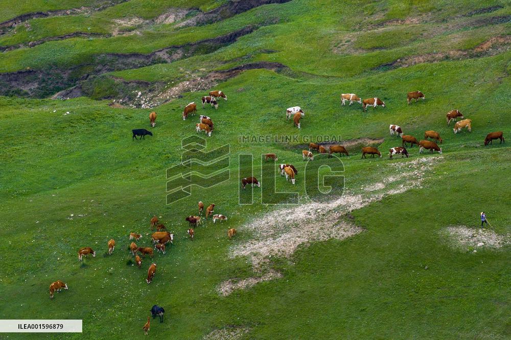 Huiteng Xile Grassland in Ulanqab, China
