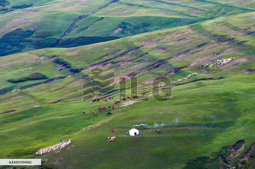 Huiteng Xile Grassland in Ulanqab, China