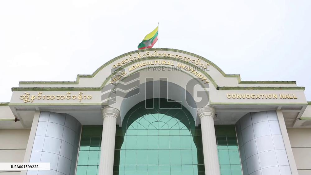 Chinese scholarship program benefits university students in Myanmar