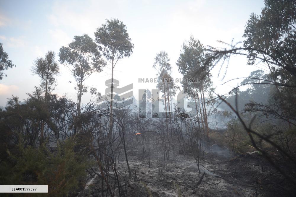 Forest Fire Rages in Galicia - Spain