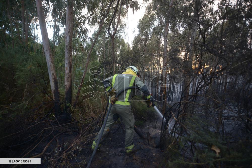 Forest Fire Rages in Galicia - Spain