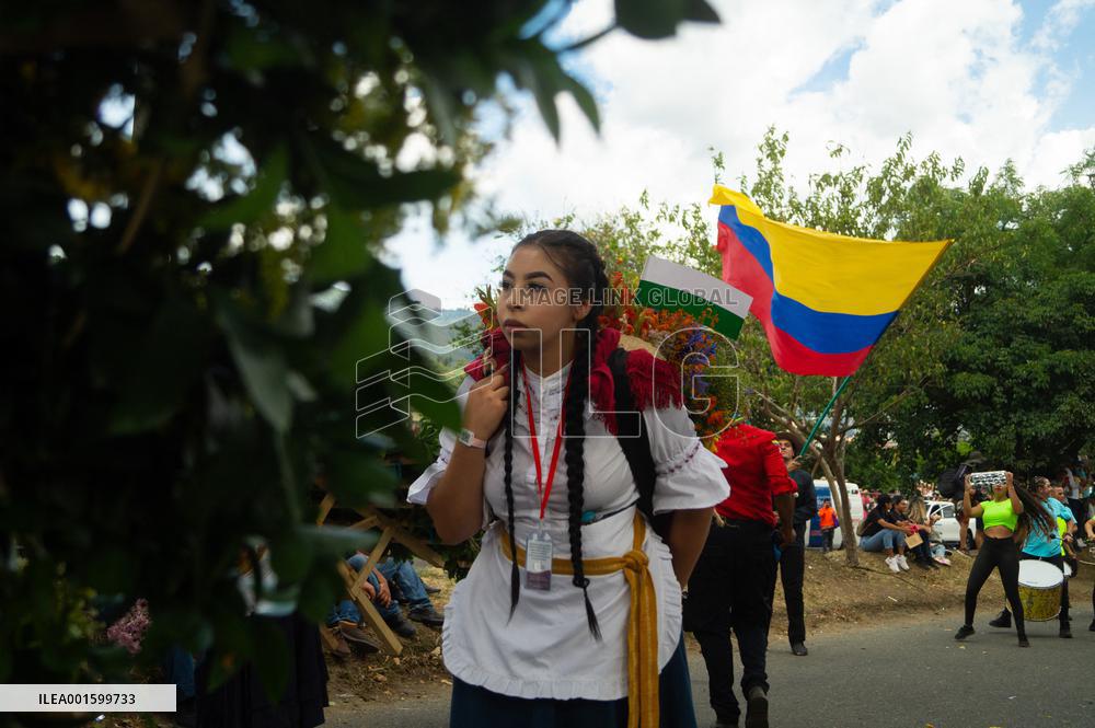 Medellin 'Feria de las Flores' - Silleteros Parade