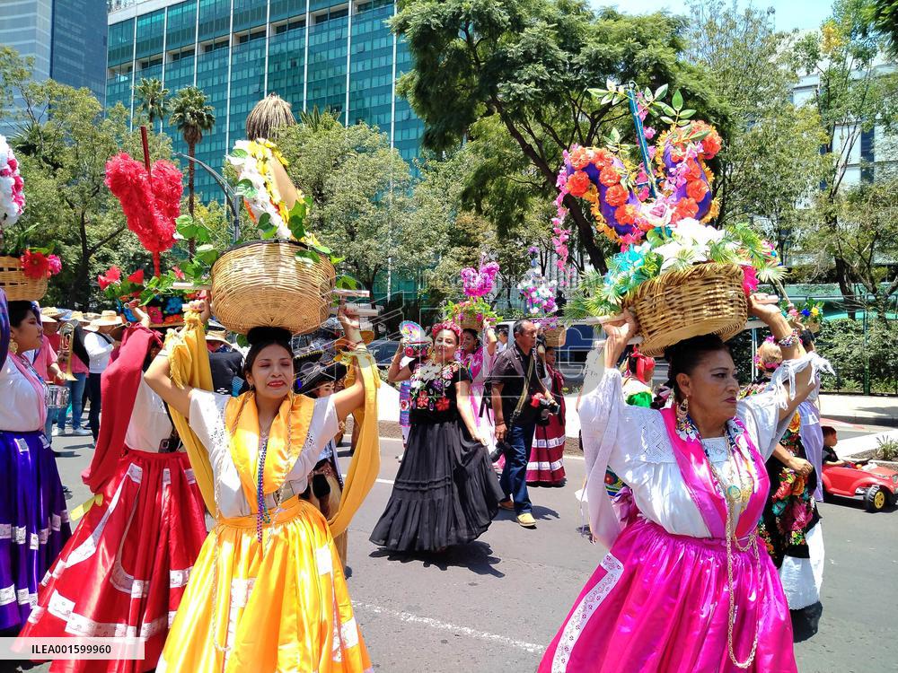 International Day of Indigenous People - Mexico City