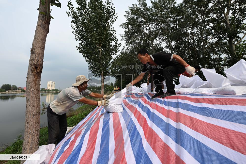 CHINA-TIANJIN-DAQINGHE RIVER-FLOOD-DIKES (CN)