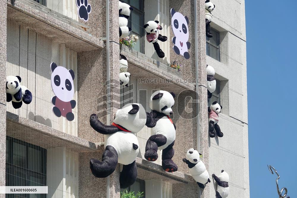 Plush Pandas Displayed On The Exterior Wall of A Hotel in Yantai