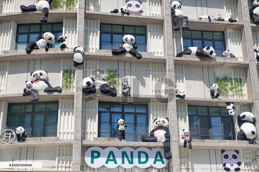 Plush Pandas Displayed On The Exterior Wall of A Hotel in Yantai