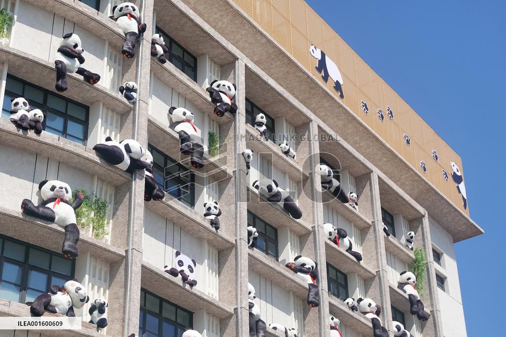 Plush Pandas Displayed On The Exterior Wall of A Hotel in Yantai