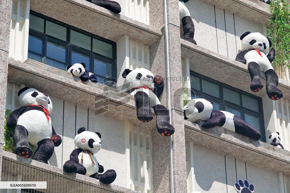 Plush Pandas Displayed On The Exterior Wall of A Hotel in Yantai