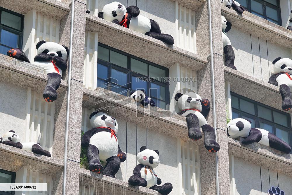 Plush Pandas Displayed On The Exterior Wall of A Hotel in Yantai