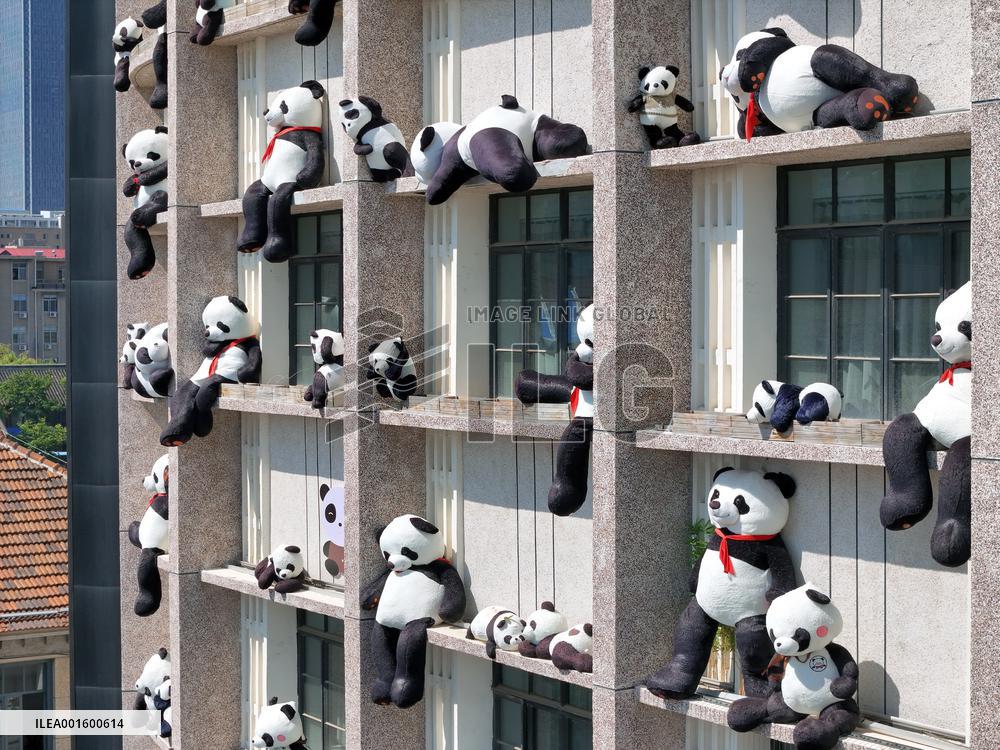 Plush Pandas Displayed On The Exterior Wall of A Hotel in Yantai