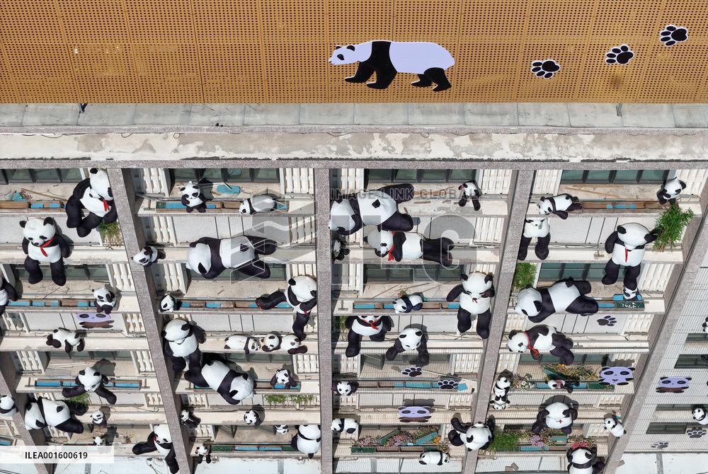 Plush Pandas Displayed On The Exterior Wall of A Hotel in Yantai