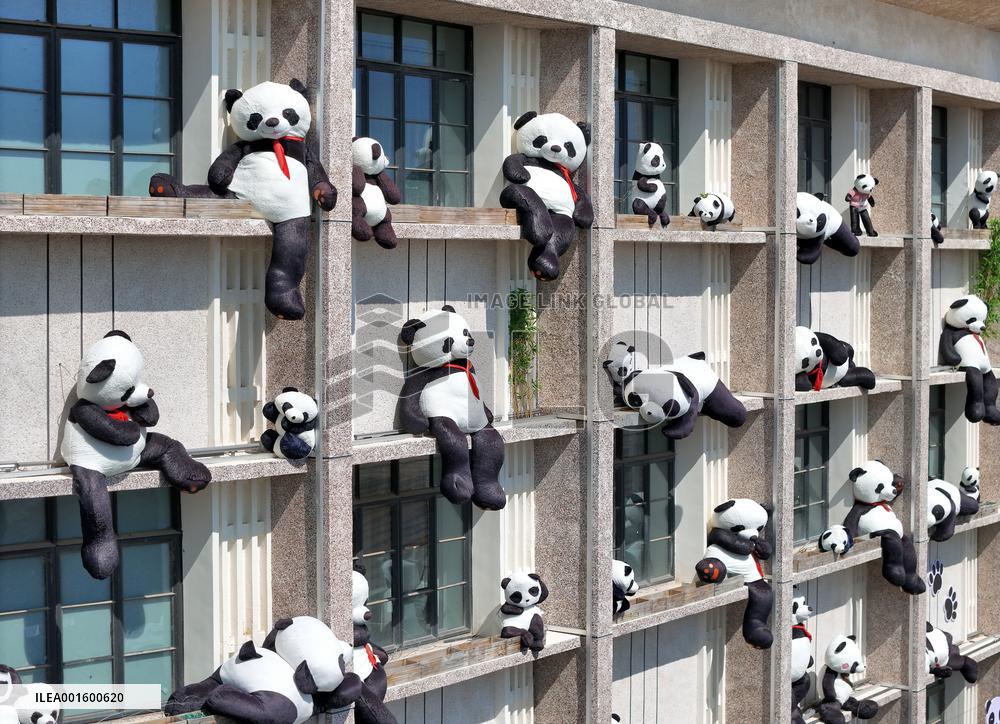 Plush Pandas Displayed On The Exterior Wall of A Hotel in Yantai