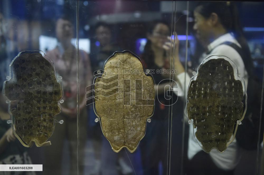 CHINA-HENAN-MUSEUM-TRADITIONAL CHINESE CULTURE (CN)