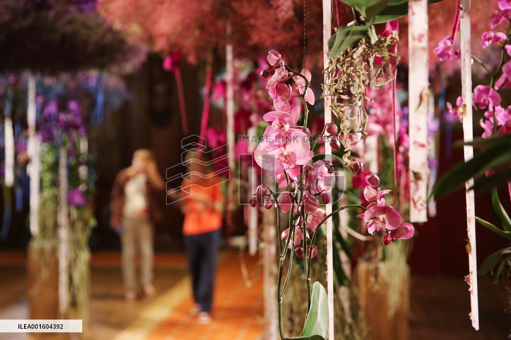 BELGIUM-BRUSSELS-FLOWERTIME-EXHIBITION
