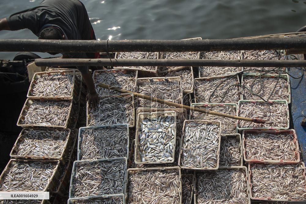 INDONESIA-JAKARTA-FISHING VILLAGE-DAILY LIFE