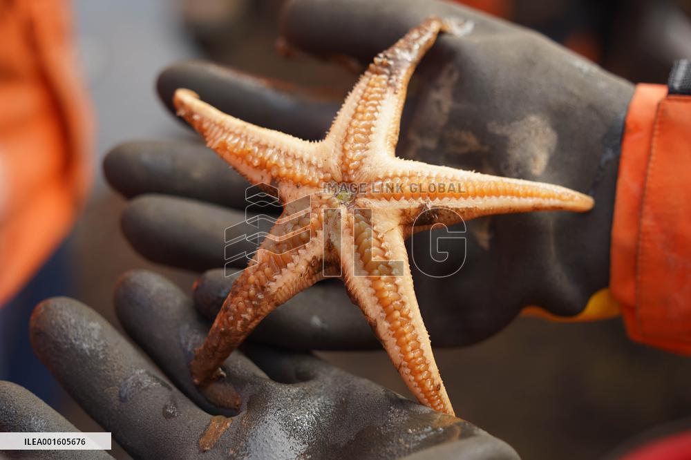 (EyesonSci)CHINA-XUELONG-ARCTIC OCEAN EXPEDITION-FIRST PHASE-COMPLETION (CN)