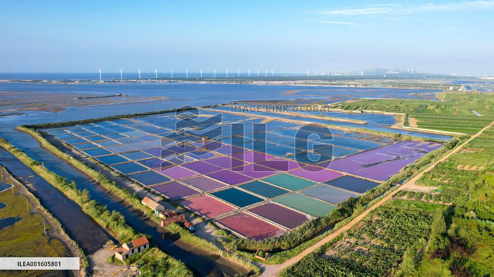 Salt Field in Rongcheng, China