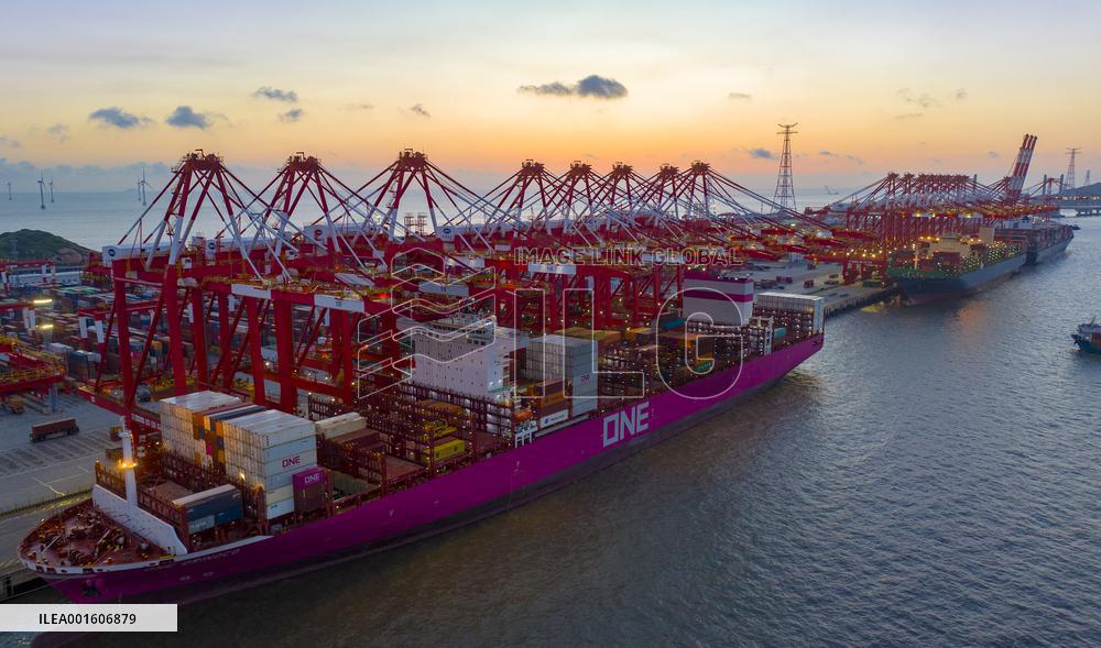 2023 H1 Shanghai Port Container Throughput Growth