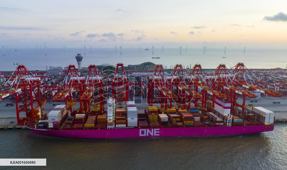 2023 H1 Shanghai Port Container Throughput Growth