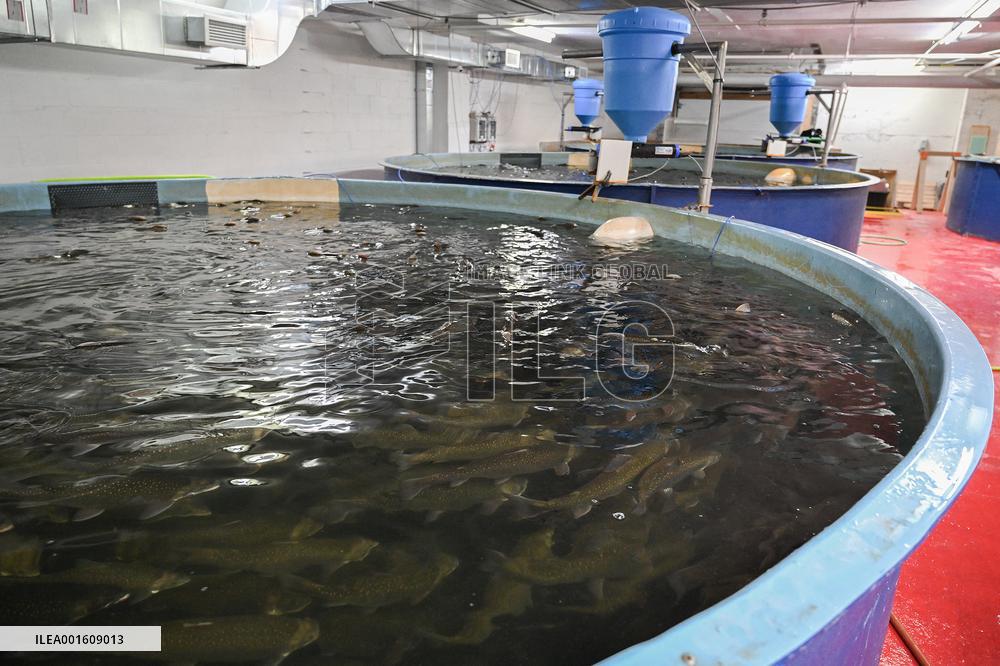 Fish Farm - Montreal