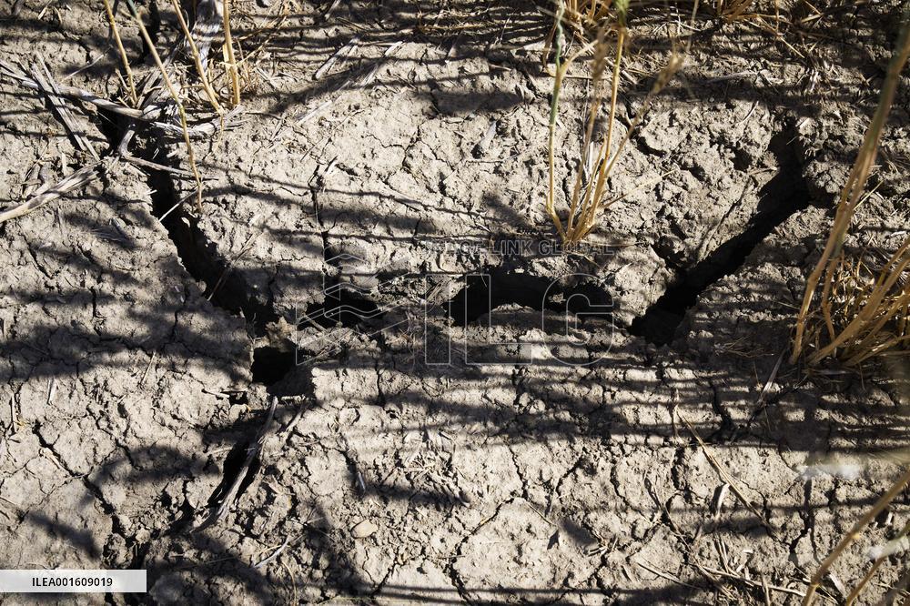Extreme Drought Conditions Continue In Southern Alberta - Canada