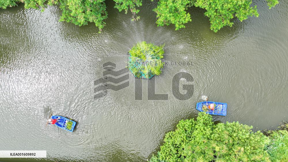 National Ecology Day in Huzhou