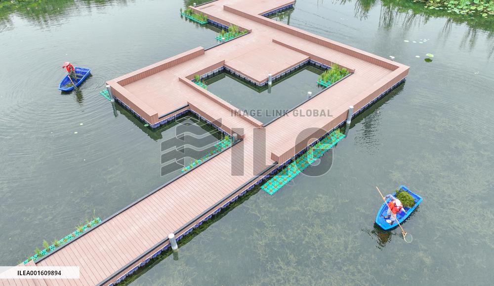 National Ecology Day in Huzhou