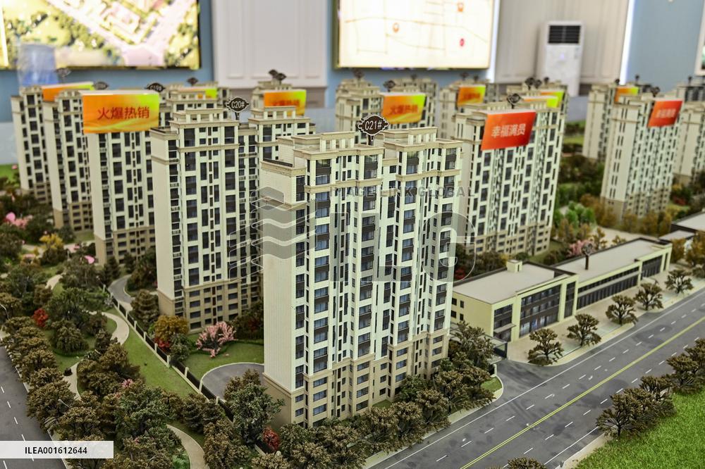 Reduced Investment in Real Estate Development in China