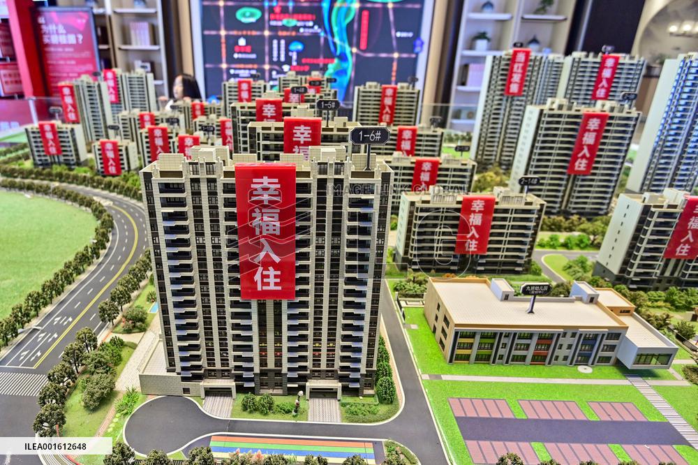 Reduced Investment in Real Estate Development in China