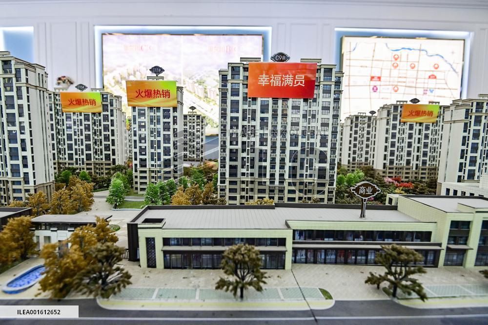 Reduced Investment in Real Estate Development in China