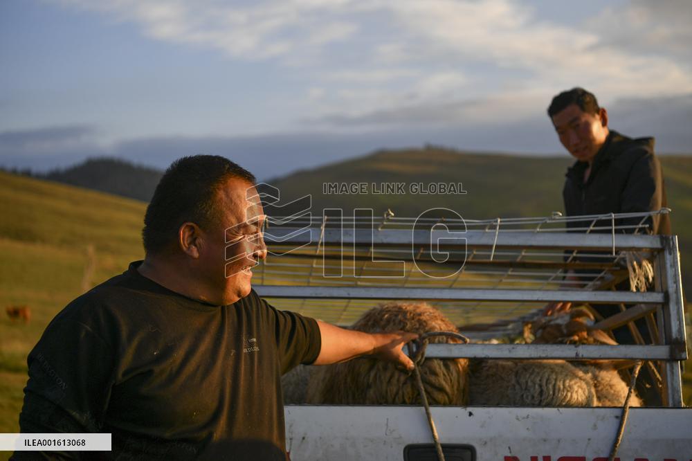 CHINA-XINJIANG-CHANGJI-ALPINE PASTURE (CN)