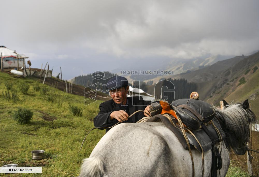 CHINA-XINJIANG-CHANGJI-ALPINE PASTURE (CN)