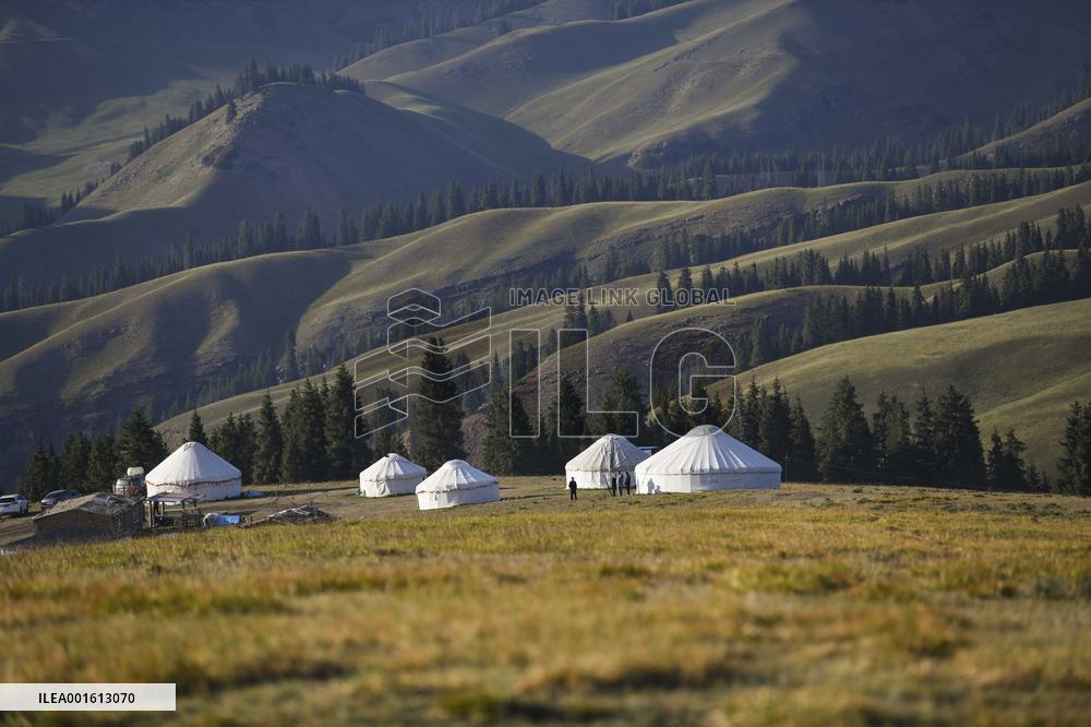 CHINA-XINJIANG-CHANGJI-ALPINE PASTURE (CN)