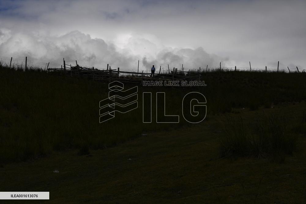 CHINA-XINJIANG-CHANGJI-ALPINE PASTURE (CN)