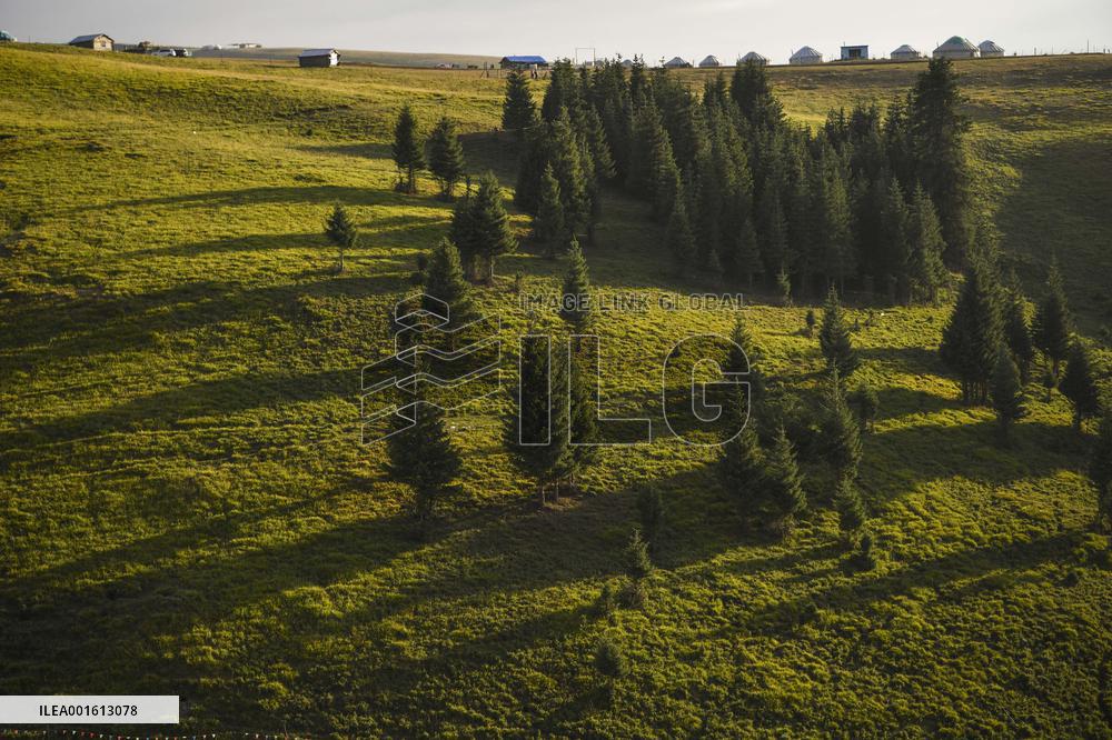 CHINA-XINJIANG-CHANGJI-ALPINE PASTURE (CN)