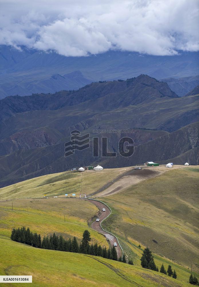 CHINA-XINJIANG-CHANGJI-ALPINE PASTURE (CN)