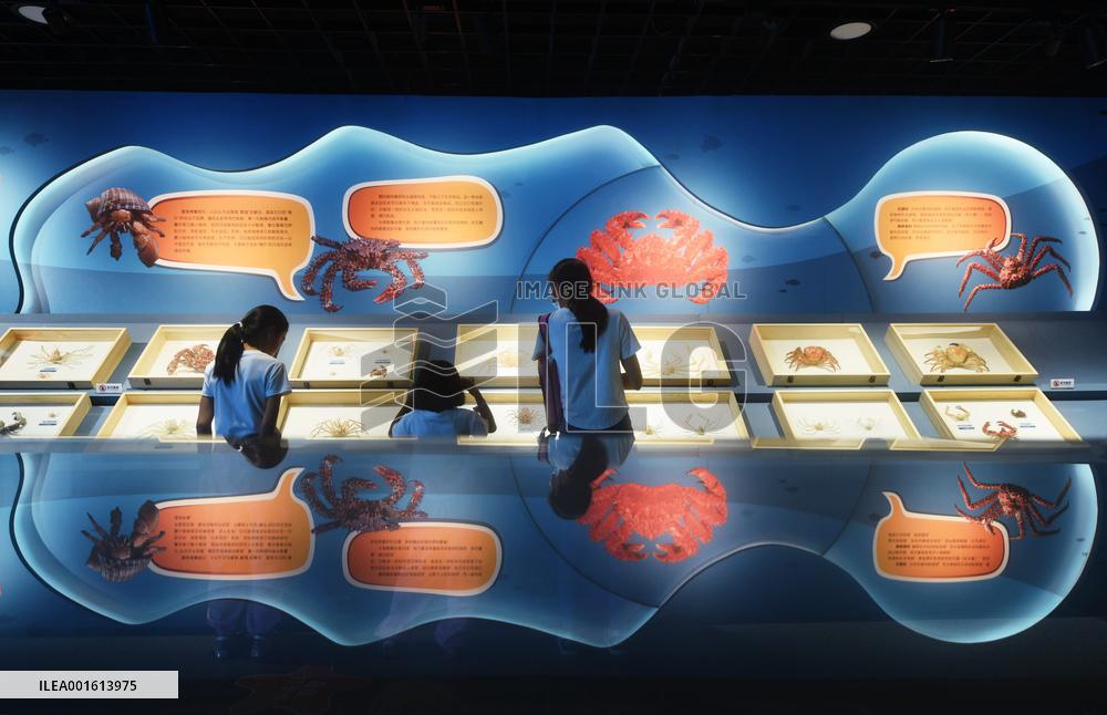 Marine Animal Specimen At The Nature Museum