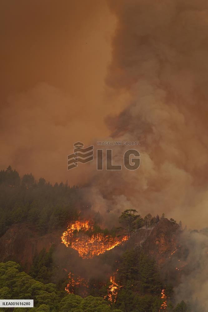 Tenerife Wildfire Prompts Evacuations And Road Closures
