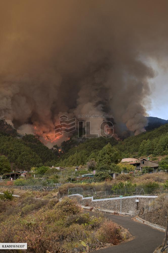 Tenerife Wildfire Prompts Evacuations And Road Closures