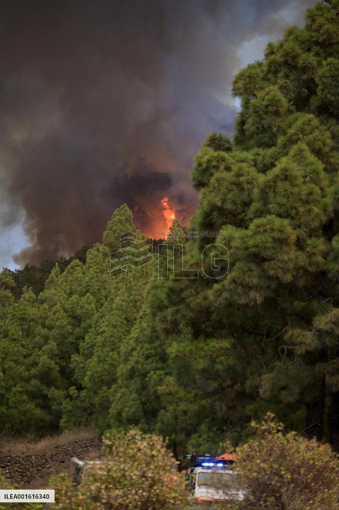 Tenerife Wildfire Prompts Evacuations And Road Closures