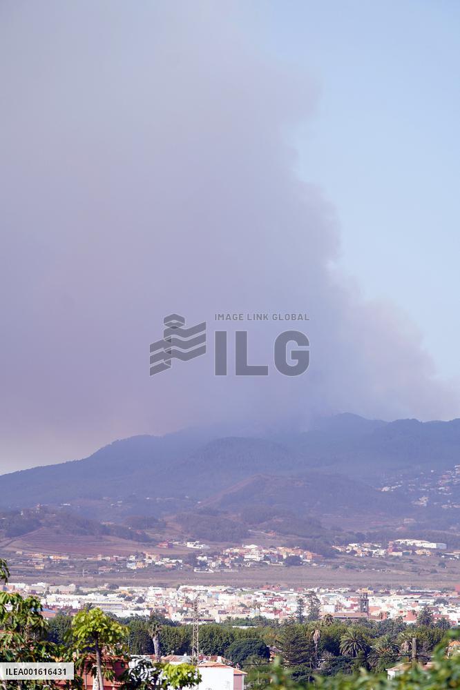 Tenerife Wildfire Prompts Evacuations And Road Closures