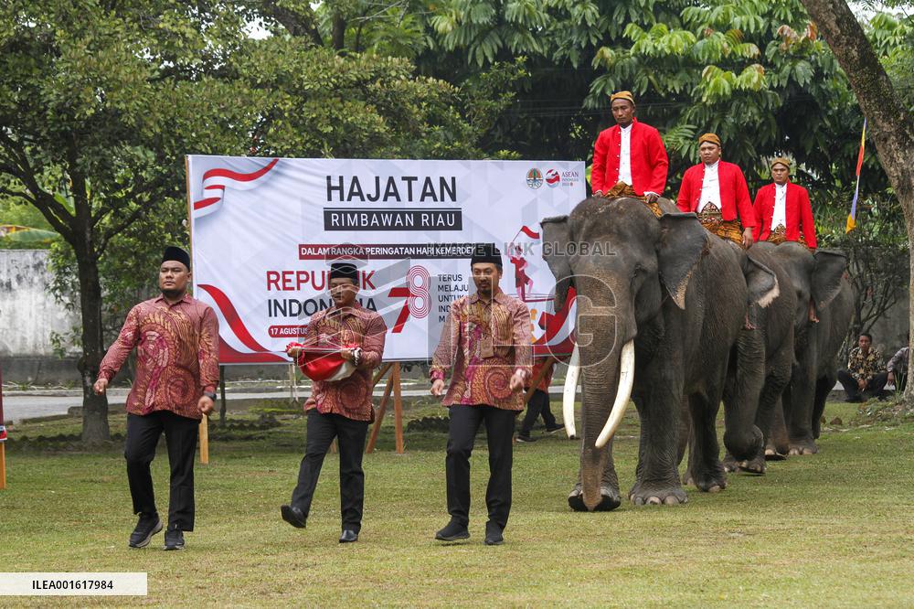 INDONESIA-RIAU-SUMATRAN ELEPHANT-INDEPENDENCE DAY-CELEBRATION
