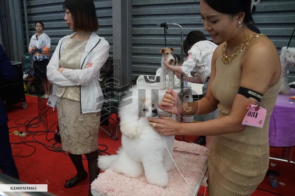 The 25th PET FAIR ASIA Held in Shanghai
