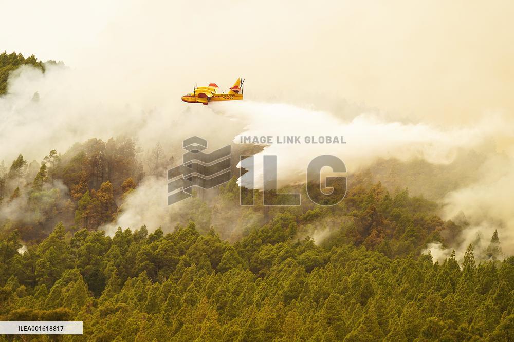 7,600 People Evacuated In Tenerife In The Fire - Spain