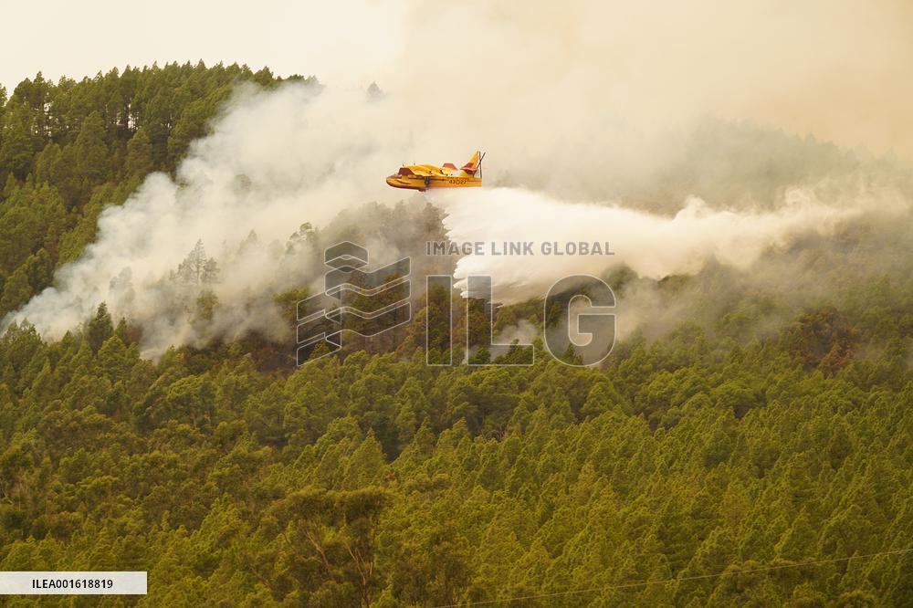 7,600 People Evacuated In Tenerife In The Fire - Spain