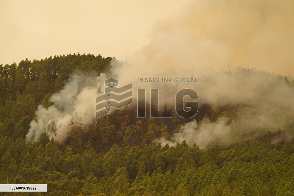 7,600 People Evacuated In Tenerife In The Fire - Spain