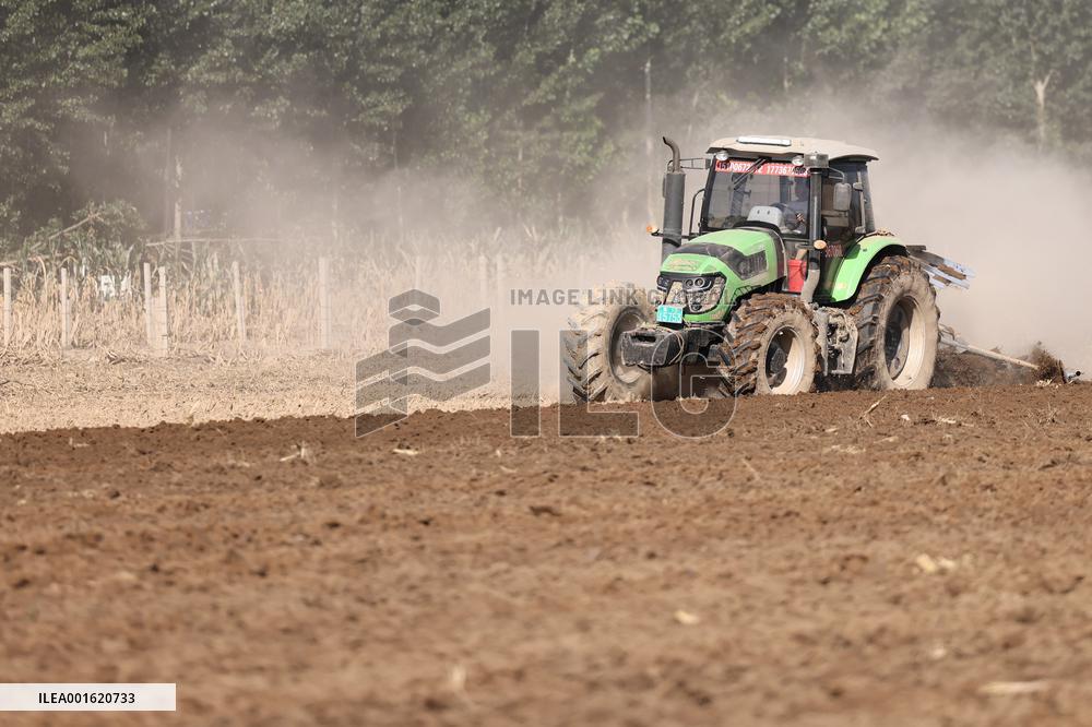 CHINA-HEBEI-ZHUOZHOU-FLOOD-AGRICULTURE (CN)