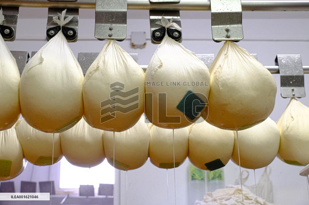 Mahon Cheese Making - Menorca